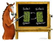 smaller greener grass