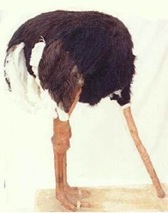 conflict avoidance smaller