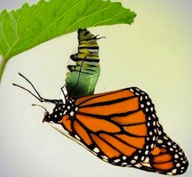 we change when we want to