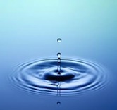 Water drops into a pond creating a ripple effect