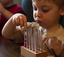 self directed learner