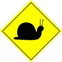 is mind prematurely aging body