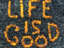 pleasant good meaningful life