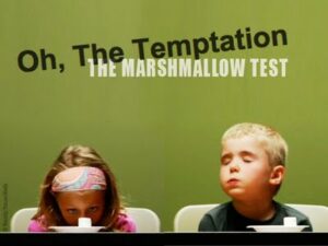 marshmallow-test-1-300x225-1
