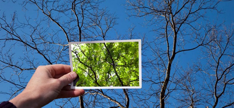 see the world differently