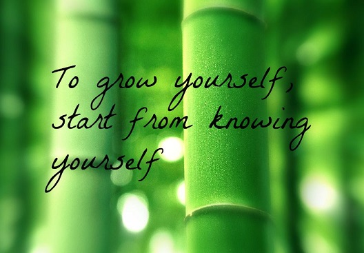 A green bamboo background with the words "To grow yourself, start from knowing yourself" in black print