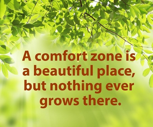 comfort zone nothing grows