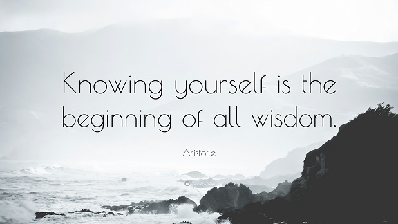 knowing yourself is the beginning of all wisdom