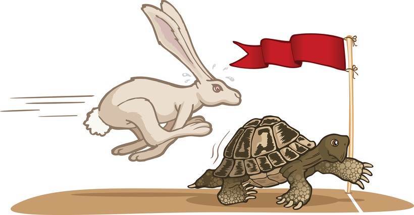 Tortoise and Hare Race