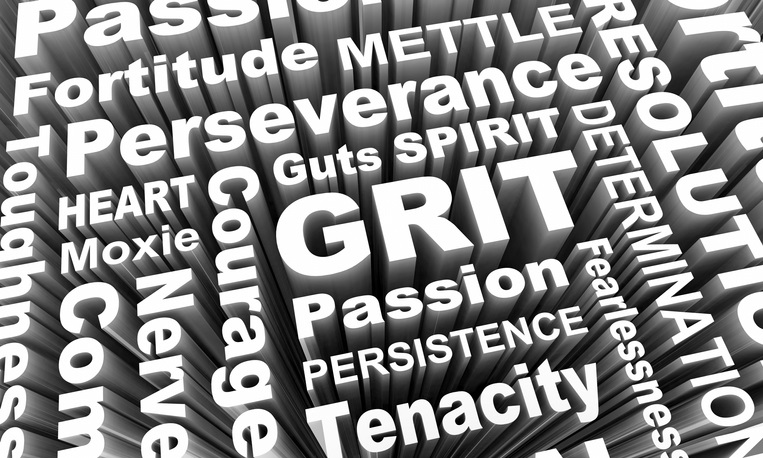 grit passion persistence