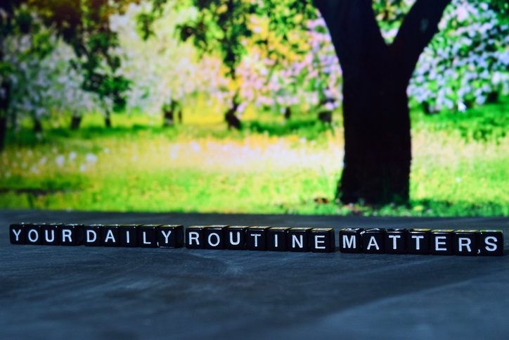 An outdoor background with grass, trees, and flowers. In the foreground, black blocks with white letters spell out "daily routine matters"