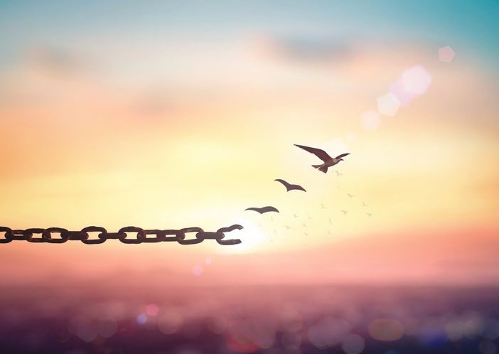 A sunny sky in the background with a chain in the foreground. The last chain link is broken and there are birds flying away from it.